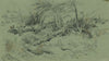 Landscape with fallen trees and rocks