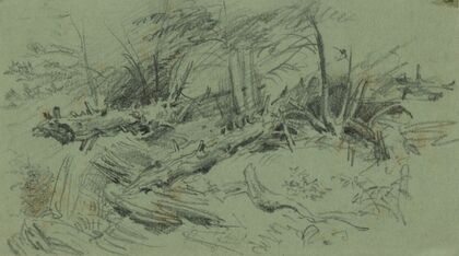 Landscape with fallen trees and rocks