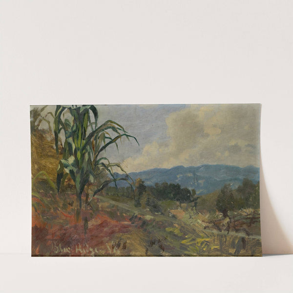 Landscape with Giant Corn in the Foreground by Frank Buchser