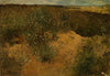Landscape with thistles
