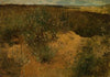 Landscape with thistles