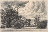 Landscape with trees