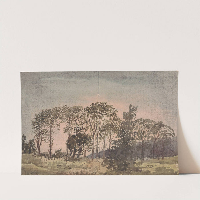 Landscape with trees by David Charles Read