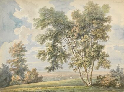 Landscape with Trees and Sheep (Park Landscape with Sheep).