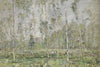 Landscape with trees, c. 1910