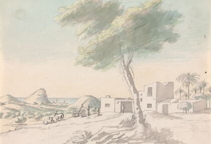 Landscape, With view of coast and Palm trees in the Distance