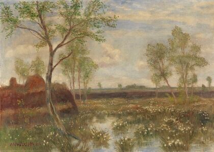 Landschaft bei Fischerhude (Frühling im Moor)