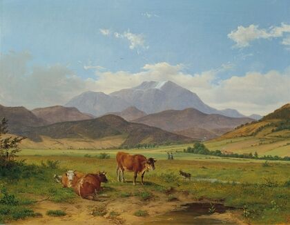 Landschaft mit Schneeberg