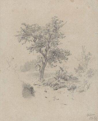 Landschap met eik
