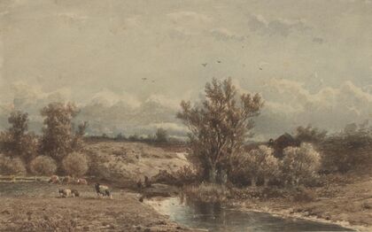 Landschap met rivier en koeien