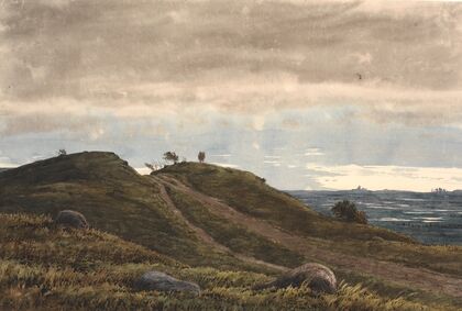 Landskab med en sandet vej, der fører over en lyngbakke. Til højre udsigt over vidtstrakt land med tørvemoser. Fra Raageleje-egnen