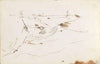 Landskapsriss (1842)