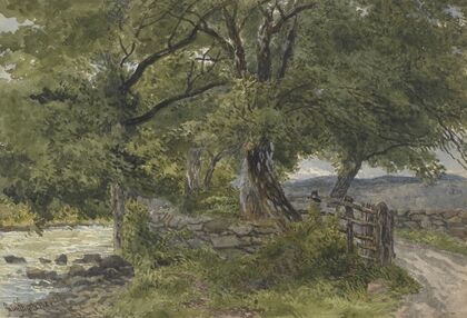 Lane by river, Bettws-Y-Coed, North Wales