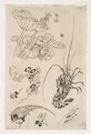 Langouste, plantes avec oiseaux (1866)