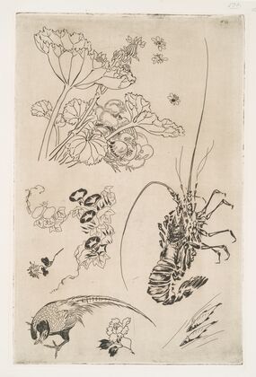 Langouste, plantes avec oiseaux (1866)