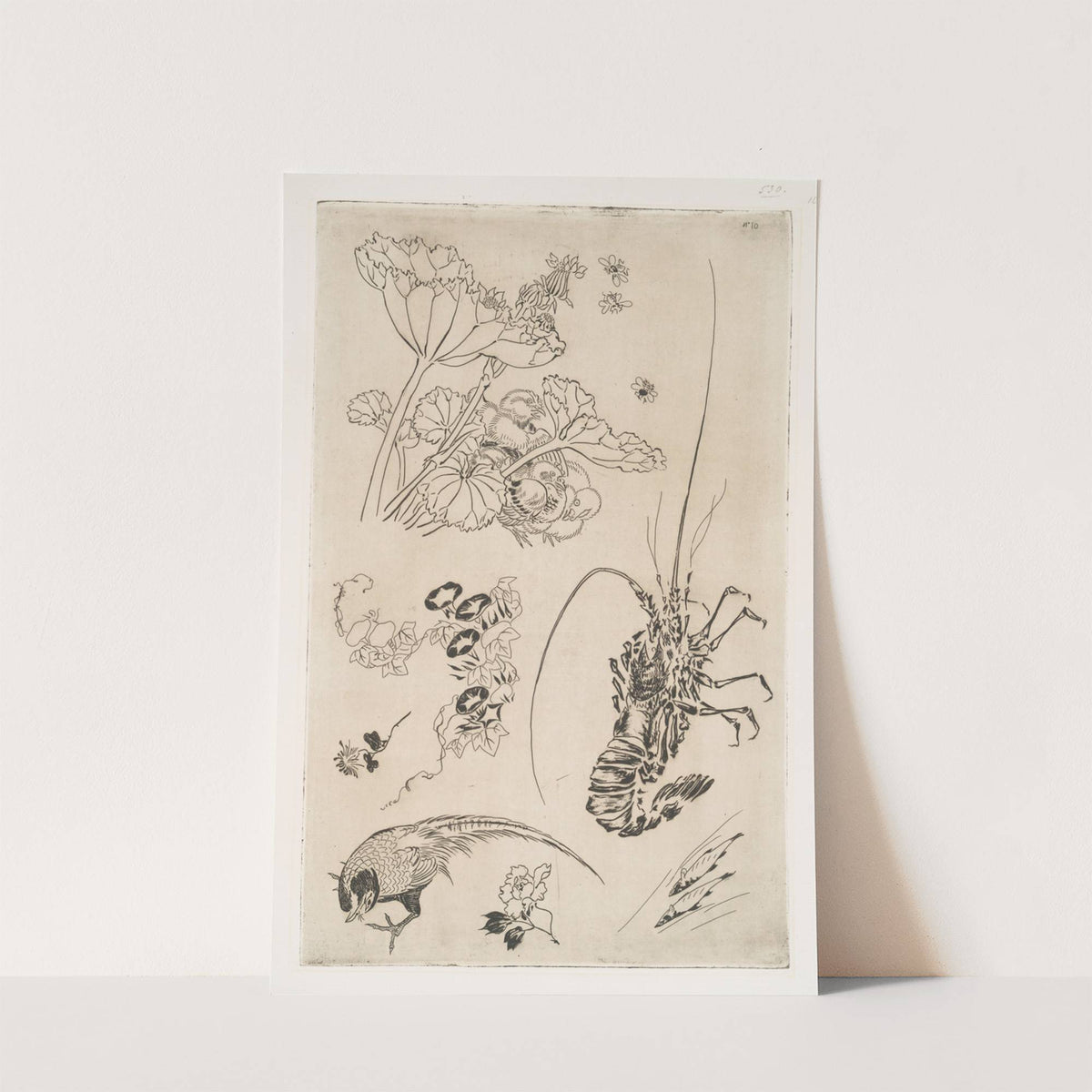 Langouste, plantes avec oiseaux (1866) by Félix Bracquemond