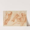 Laocoon. Studies of Laocoon&#039;s left arm and of the back of his torso seen from the left and from below by Willem Panneels