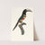 L&#039;Aracari, à double ceinture. by Jacques Barraband