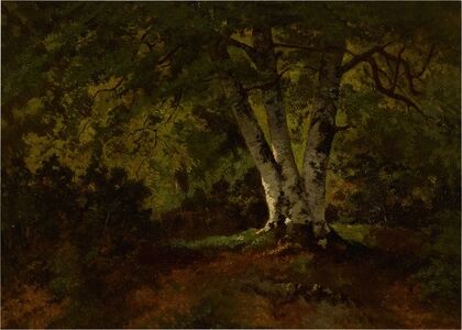 L’arbre aux trois troncs