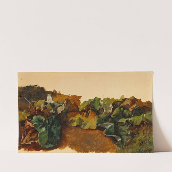 Large Butterburr Leaves and Grass (about 1825–1829) by Gilles-François-Joseph Closson