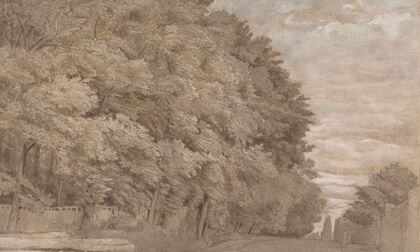 Large Forest