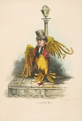 Lark (1851)