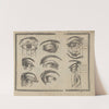 L&#039;art de dessiner de Maistre Jean Cousin Pl.02 by Jean Cousin the Younger
