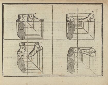 L’art de dessiner de Maistre Jean Cousin Pl.12