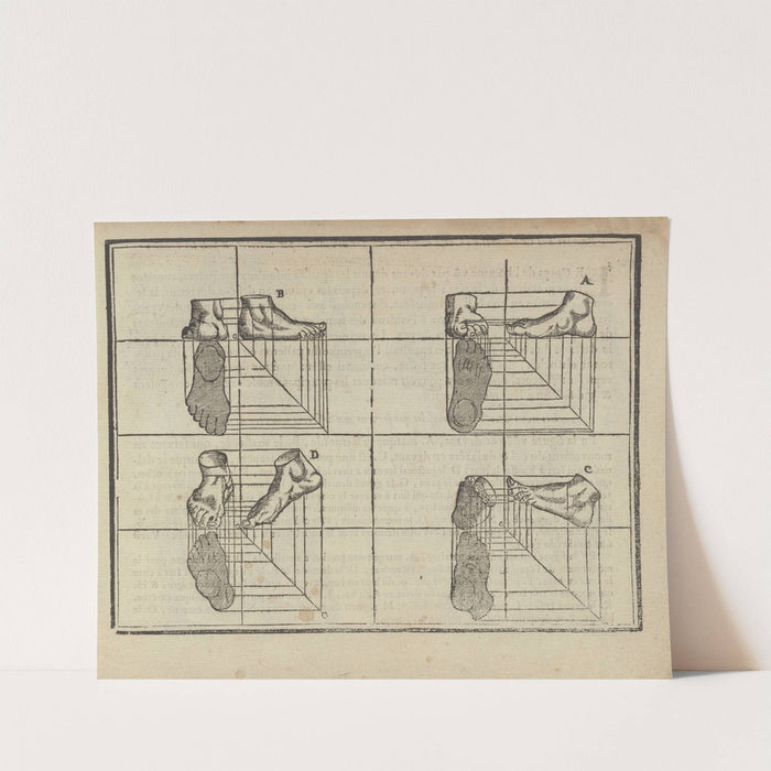 L’art de dessiner de Maistre Jean Cousin Pl.12 (1685) by Jean Cousin the Younger