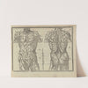 L&#8217;art de dessiner de Maistre Jean Cousin Pl.13 (1685) by Jean Cousin the Younger
