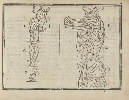 L’art de dessiner de Maistre Jean Cousin Pl.14 — size preview