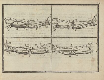 L’art de dessiner de Maistre Jean Cousin Pl.15