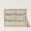 L&#8217;art de dessiner de Maistre Jean Cousin Pl.15 (1685) by Jean Cousin the Younger