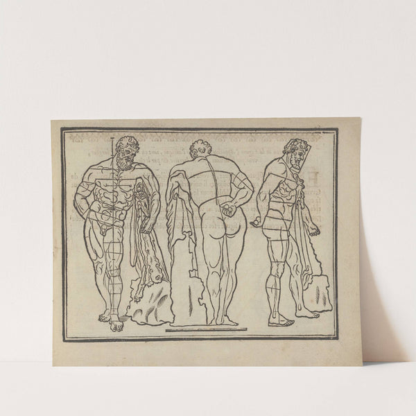 L&#039;art de dessiner de Maistre Jean Cousin Pl.31 by Jean Cousin the Younger