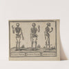 L&#039;art de dessiner de Maistre Jean Cousin Pl.33 by Jean Cousin the Younger