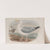 Larus argentatus. Herring-Gull. (1862-1873) by John Gould