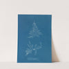 Laurencia dasyphylla (1843-1853) by Anna Atkins