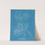Laurencia tenuissima (1843-1853) by Anna Atkins