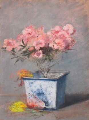 L’AzalÃ©e rose