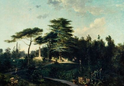 Le cèdre du Liban, au jardin des Plantes
