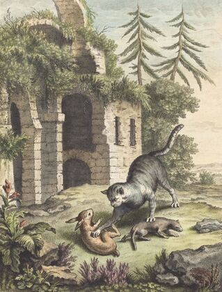 Le chat, la balette et le petit lapin (The Cat, the Weasel, and the Rabbit)