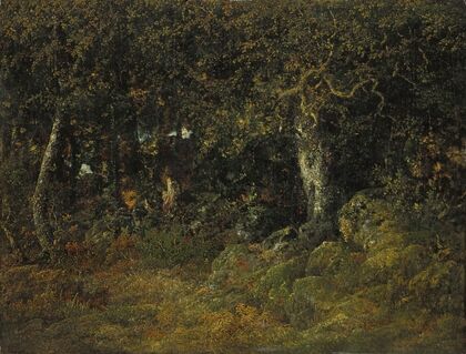 Le Chêne De Roche
