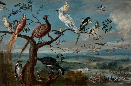 Le concert des oiseaux