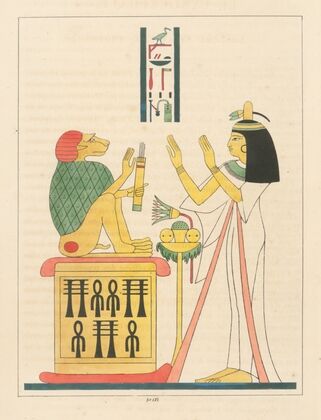 Le Cynocéphale, enblême vivant de Thoth.