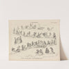 The very last polka (1856) by William Hall & Son