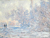 Le Givre À Giverny