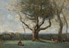 Le gros arbre (environs de Gournay)