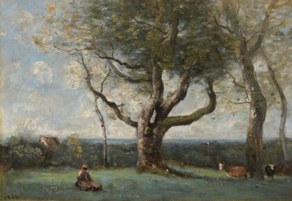 Le gros arbre (environs de Gournay)