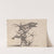 Le joueur de violon by Jacques Callot