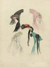 Le Journal des Dames et des Demoiselles, 1865, No. 760, Pl. 15